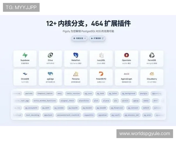 官方PG客户端官网下载地址，提供最新版本下载与安装教程详解
